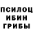 Галлюциногенные грибы прущие грибы Sir Vil`zelay