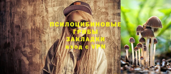 соль ск Аркадак