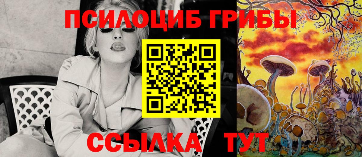 как найти закладки  Псилоцибиновые грибы Psilocybe  Вход с VPN  Югорск 