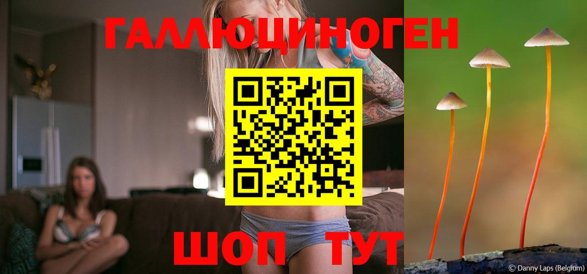Псилоцибиновые грибы Psilocybe Югорск