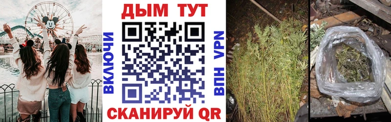Бошки марихуана OG Kush Югорск